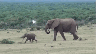 3e7a42d6c072dd8e9e77b5c2a019be54.gif