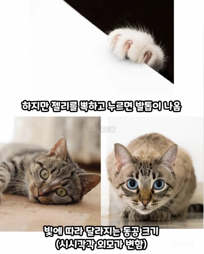 4161f91a5f8dbd0a42d9a85bfc3ccc22.jpg