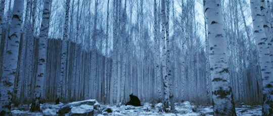 4162d272698af565814f7edb38c66708.gif