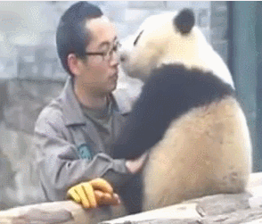 42198e5d9af4e8327ceea56a1dc84068.gif