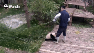 425172855fae66fccf029e307ef854c4.gif
