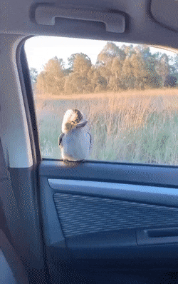 438765d9df8defd60558b65d3f374814.gif