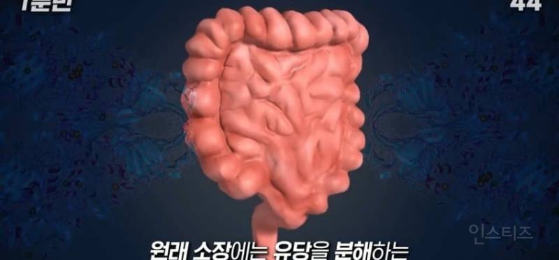 43c8dd3eb3444306ee5f8006c2e92b70.jpg