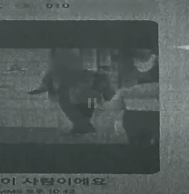 474e040f96a369c91e532298183761db.png