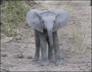 47db43085fe0b67dda0b03f7afb11b3e.gif