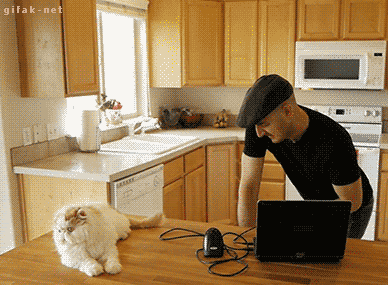 481c813db886be9ac8618b8a28de978e.gif