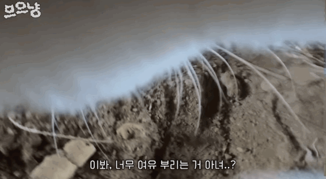 486675f12bb4b64f5ce7fd38f65cd953.gif