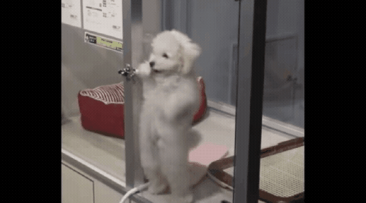 495fdee4fc664a8cffa72c78deec3489.gif