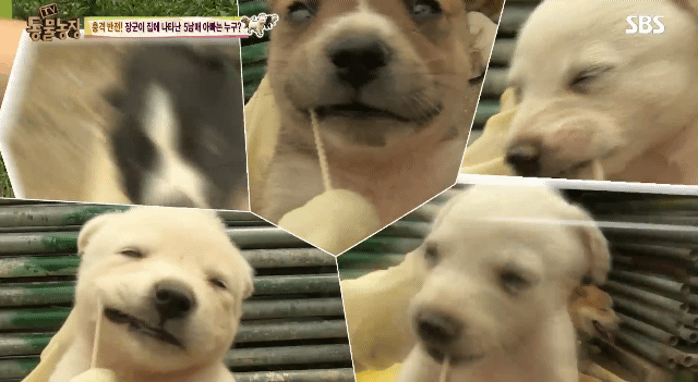 4a188c4648e10b5846bda0930b05d591.gif