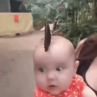 4bdee42fb8ba950bde3f7d1c4682a405.gif