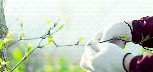 4c5182620967f4f5af87cf9d5eb9813c.gif