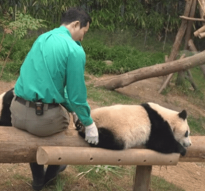 4cf84702ee19a33ce56398882876bf89.gif