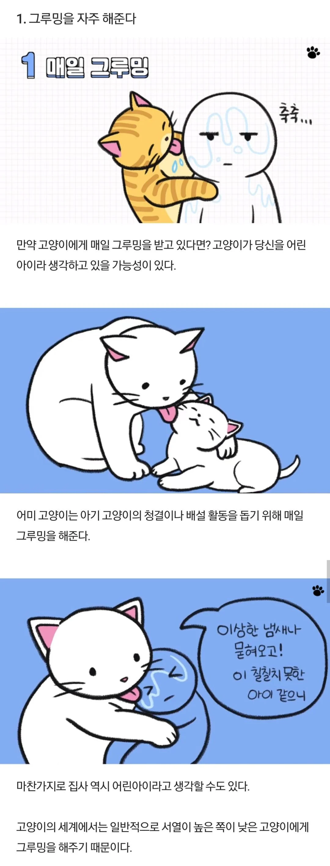 4d123f967ff580e475fce47bc9bc57be.webp