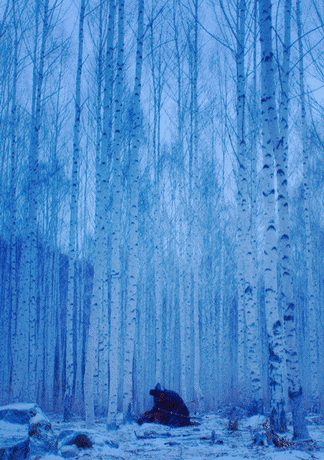 4fd0b62e94c1fc3b977d3ff2a0eab7f7.gif