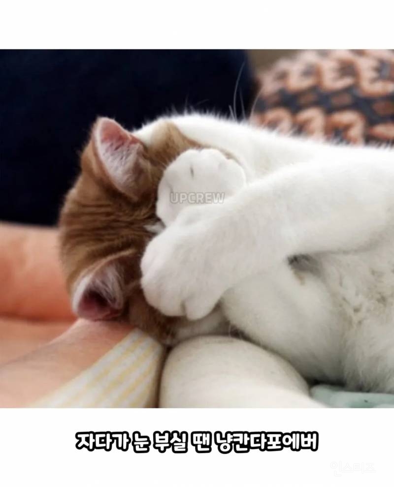506ab503a6c7d7e4aad8d995f140bd7e.jpg