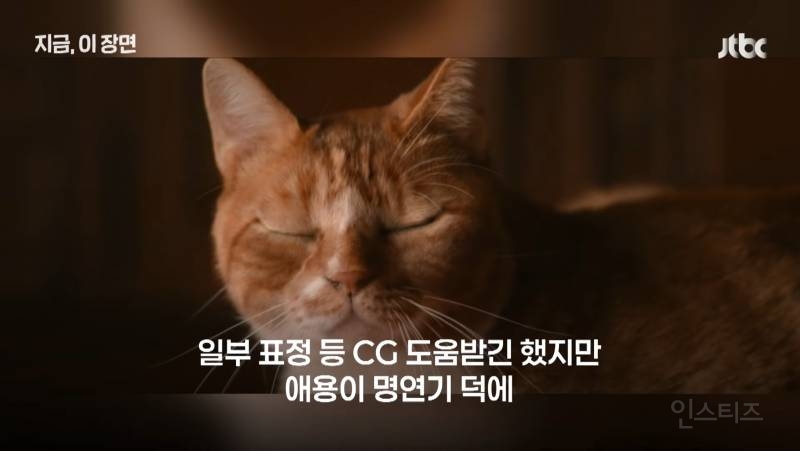 50c3e394d92a5ac22b142b33f2ed6837.jpg