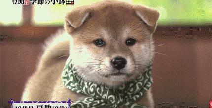 51918d9c2fdb23c1e991cffe8efbfc6a.gif