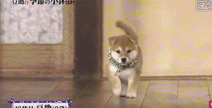 51d7dea4c2ccc56664b0d80dde984c32.gif