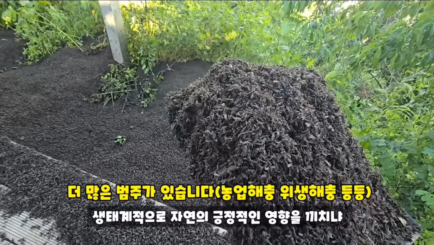 531048d2c05124a72f7ecdce75da2c31.png