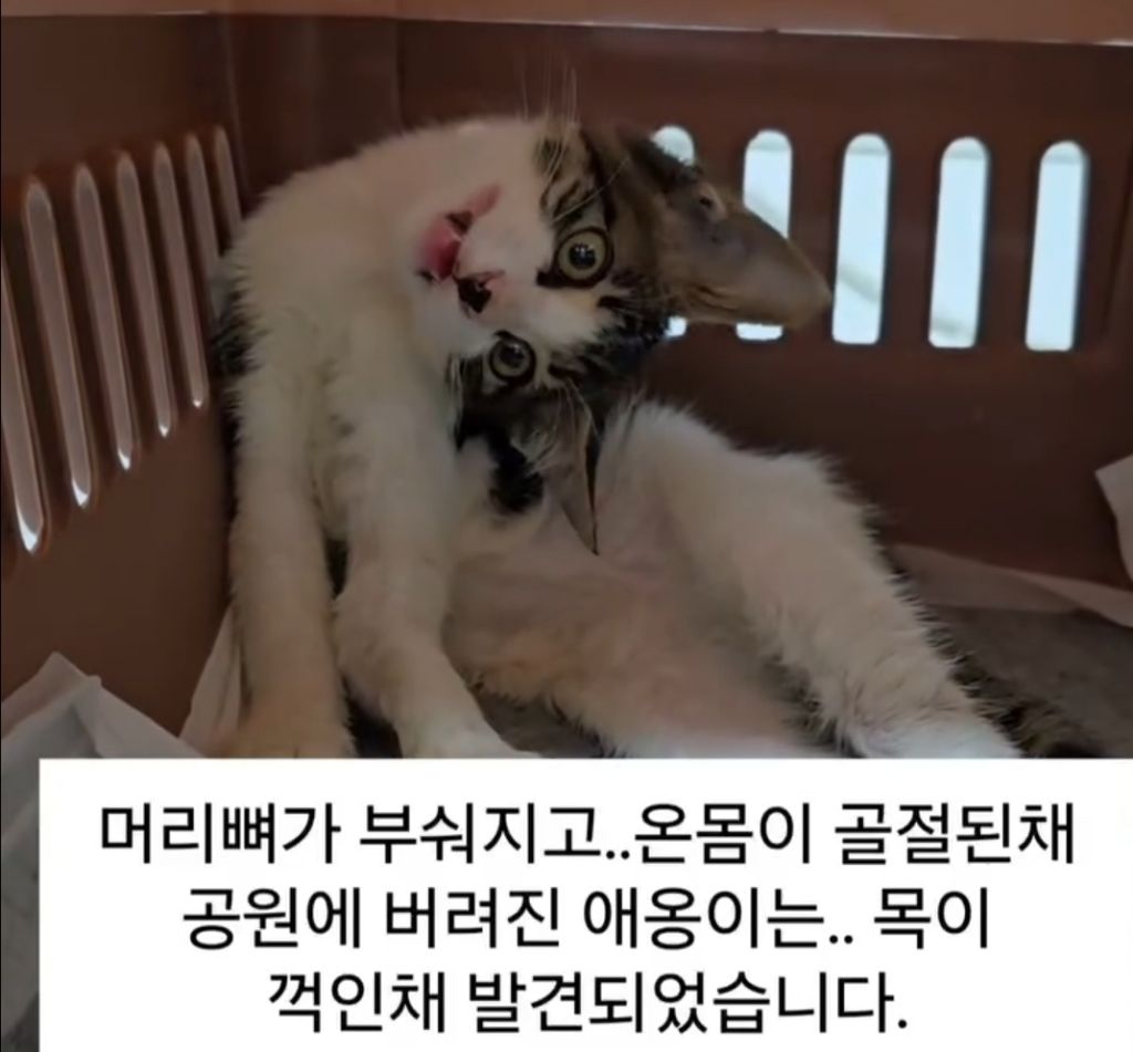 55e41c76c8fa72e7d8ffbdcd22eaa644.jpg