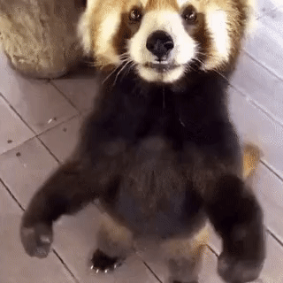563ce556d87f0694549e9734836df761.gif