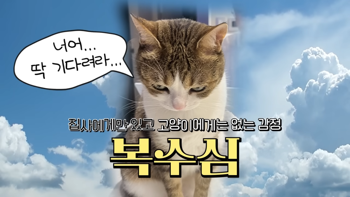 569f559909a8b0d5a9beb4fd0bede52d.png