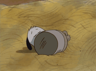 583c2525bf341f33e5aaef54b206c762.gif