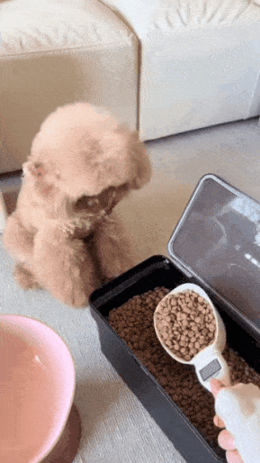 58a11f881ed1e42574985fff073e0024.gif