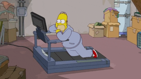 5b05eb6e94972e5d401552d890c1a2b8.gif