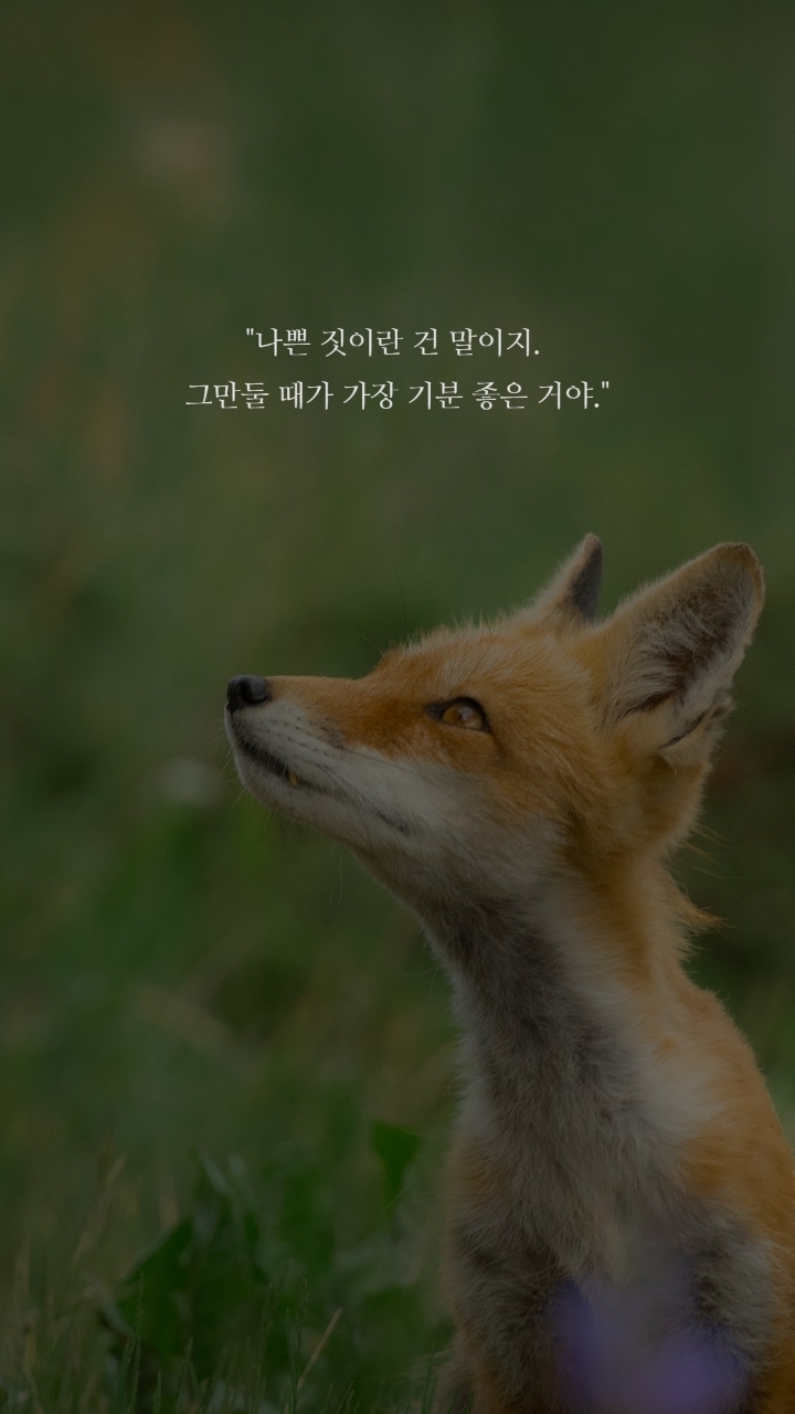 5c54af25ca9136550330d3a7ada7cbe4.jpg