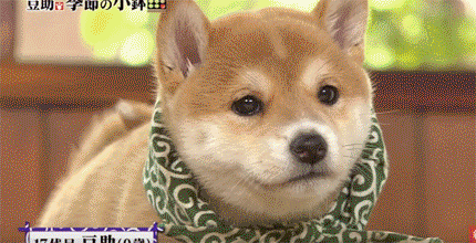 5cbc2dcebcbb19d239581a1406d4d803.gif