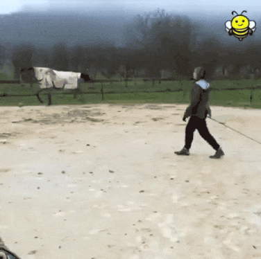 5d4f29f576cb81114a350d60be91ed32.gif
