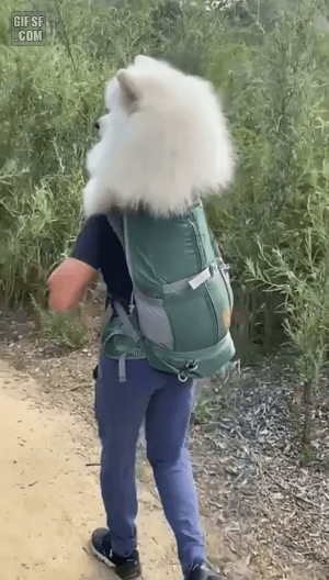 5dc4a6f3b7ae3817be3b3304e2d5049b.gif