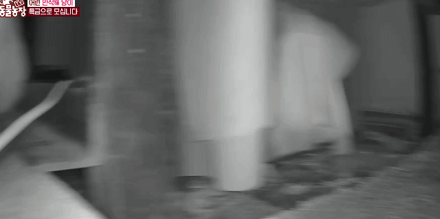 5e97239c6712fd304f8f63989a52f01d.gif