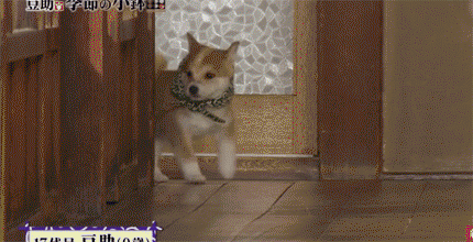 61561f883263eb1f779ccae0cdcc26e7.gif
