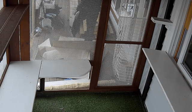 6204e16b6b2af0579e23b83935efca5b.gif