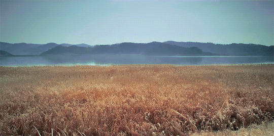 63f4daa1991fab14a24c1807d41c3340.gif