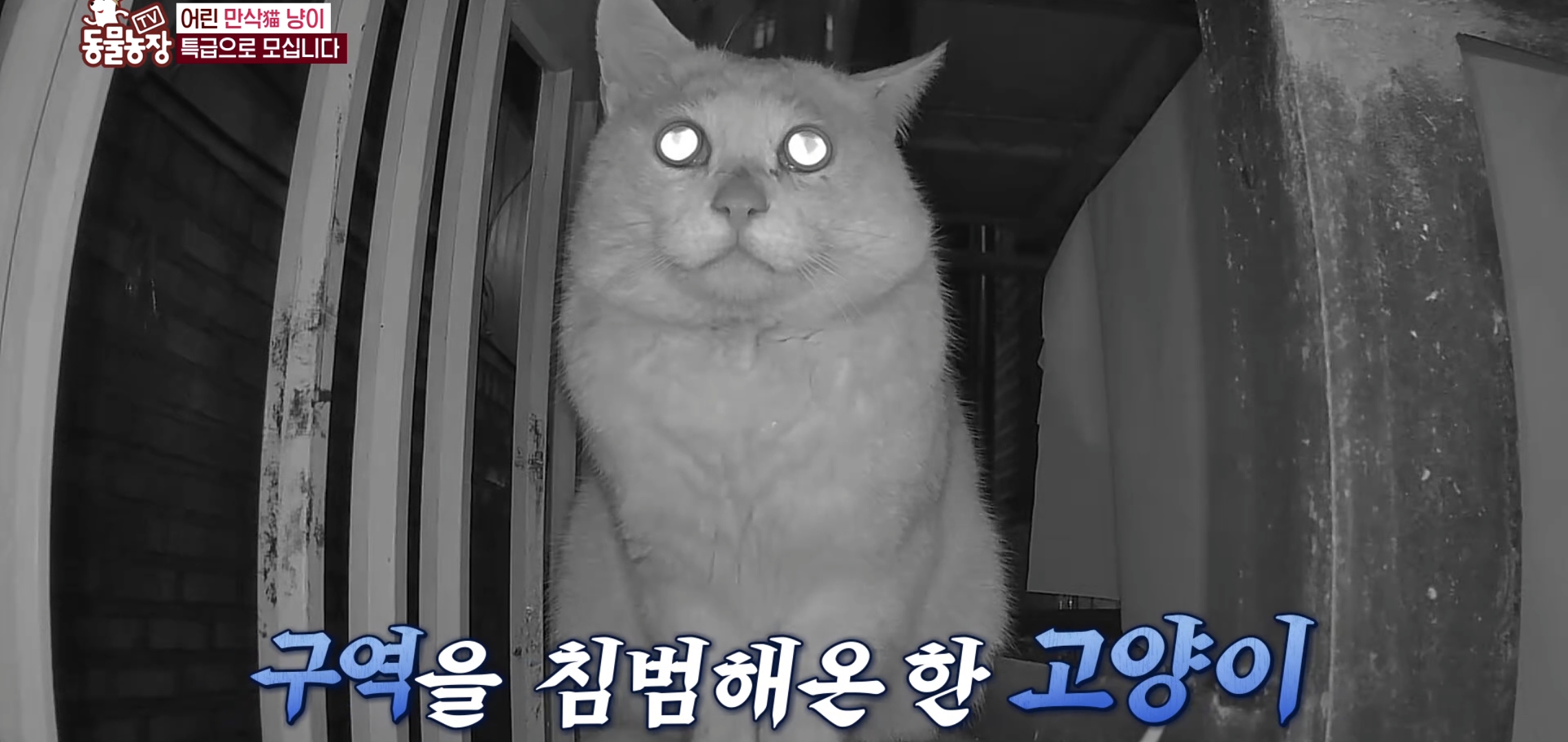64915da1172a3f2a8adf87b14a232d93.jpg