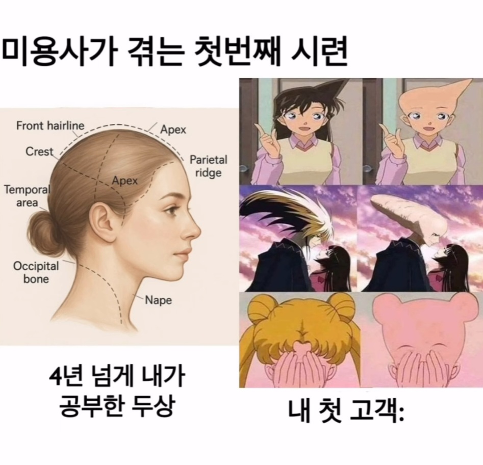 68ccdfbef7b600eb33d65edb6cbbf58f.jpg