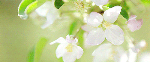 6c4a7e14519558243a51e8f785225896.gif