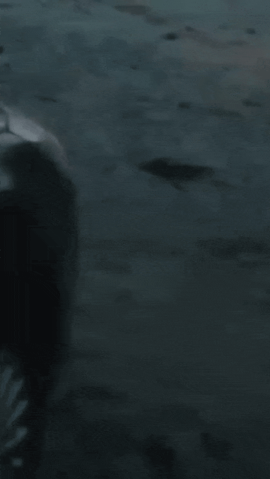 6cfd2b32a2781c00103fcf19962e283a.gif