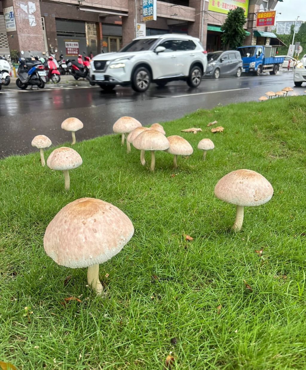 6d3b69f0fa8b49a402a142caf8d8e186.jpg