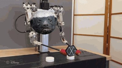 6ec9c41de293d0fff1b3a9dd6c08d638.gif