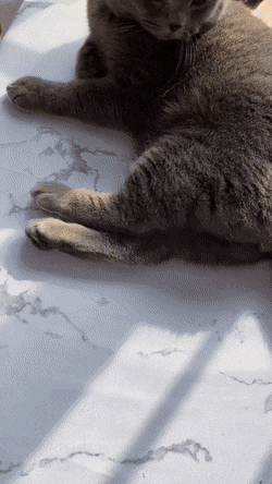 6ee0081c5c17558b97c3701075380b97.gif