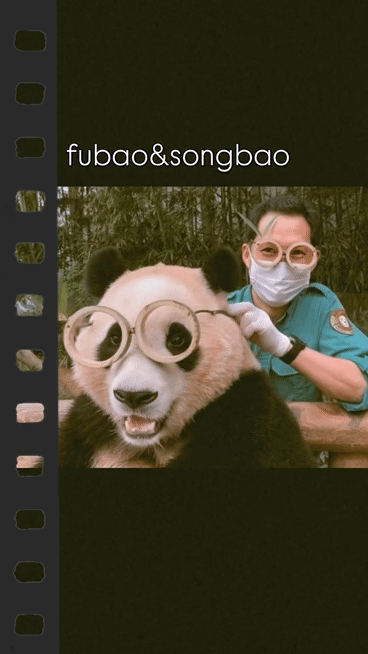 71a64da91a457b2041b07b4949ad5ccb.gif