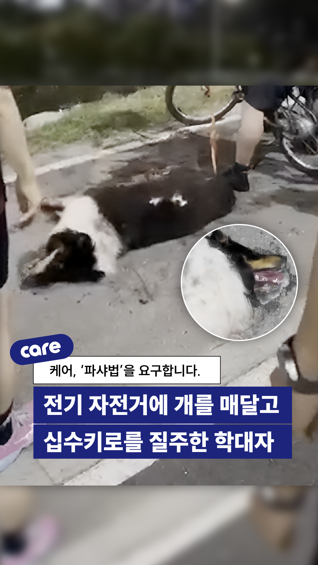 74f70e23067a9fd3e7b351ca2adb29e7.png