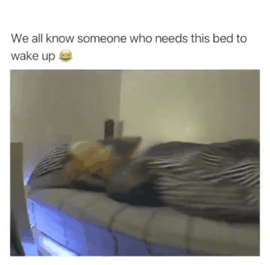 7627e82b17f7a77a7a3650ec6fcda30b.gif