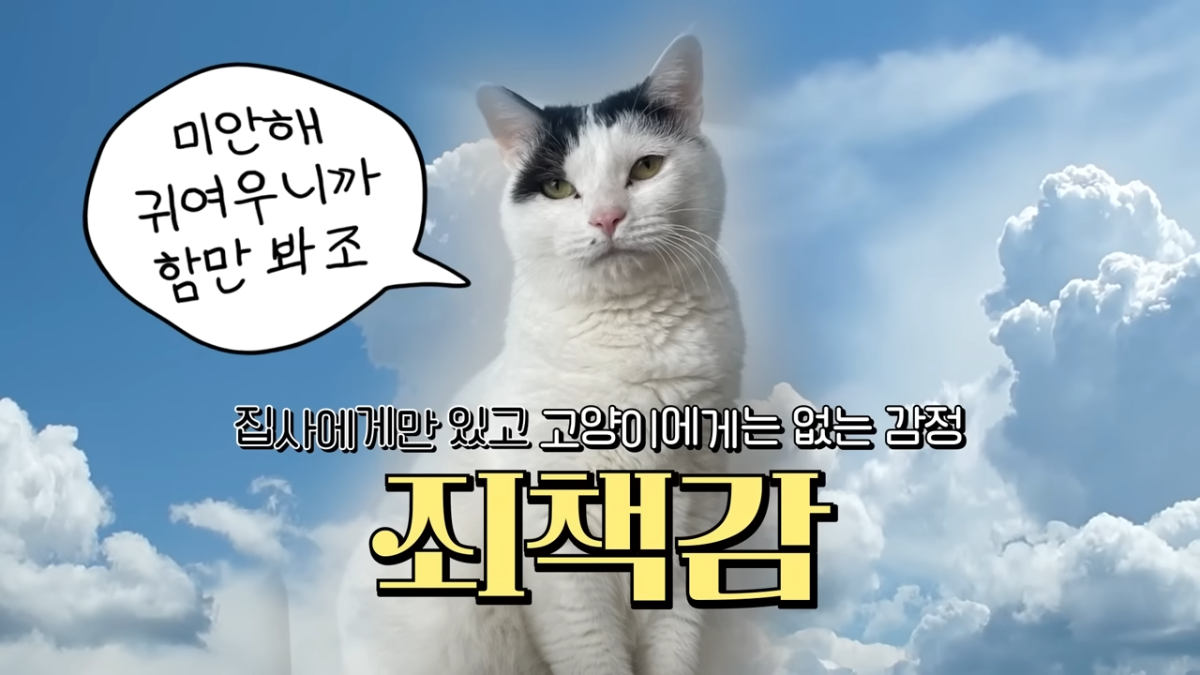 765ff38eb5f02770c53f30a973c9935d.png