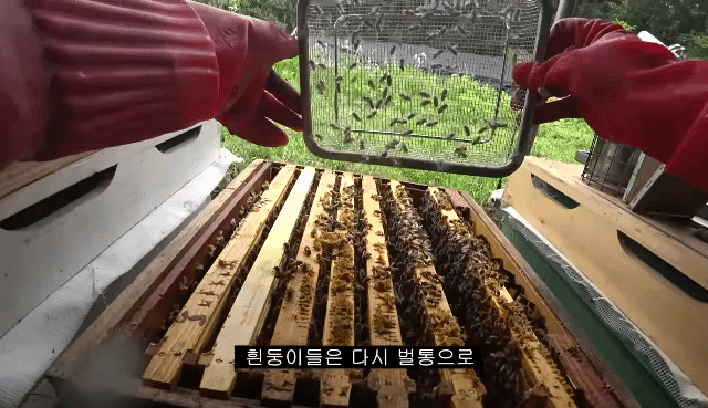 76daec40f27a5a8a49ab3acff71455d7.gif