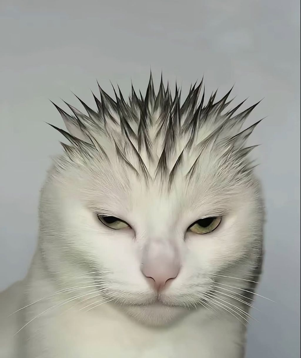 77203af9051476577e4ac743f9583f1d.jpg